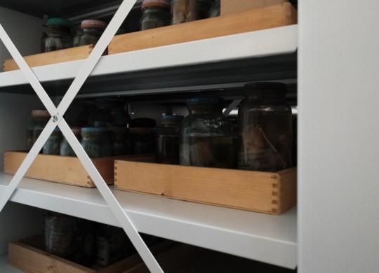 Крестовина жесткости